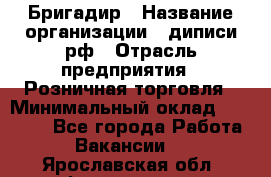 Бригадир › Название организации ­ диписи.рф › Отрасль предприятия ­ Розничная торговля › Минимальный оклад ­ 35 000 - Все города Работа » Вакансии   . Ярославская обл.,Фоминское с.